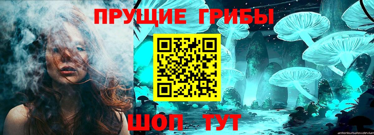 Галлюциногенные грибы GOLDEN TEACHER Корсаков