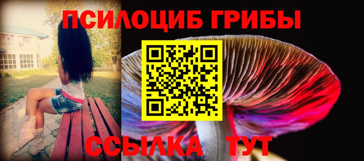Корсаков  Псилоцибиновые грибы Cubensis  Вход с VPN 
